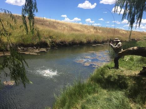 man flyfishing from the bank