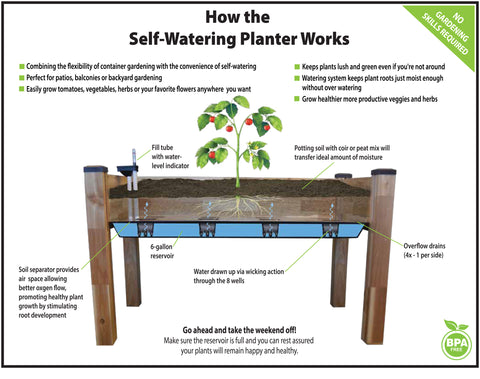 Self-watering planter - How it works