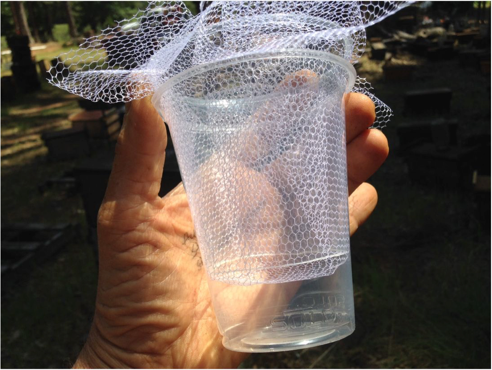 Alcohol wash monitoring for varroa mites in Houston. pic via ScientificBeekeeping.com