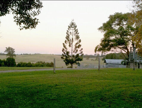 Brennan Farm