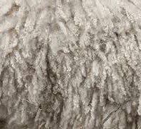 lanolin from sheep wool