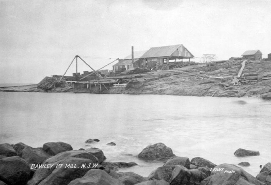 Bawley Point sawmill circa 1915