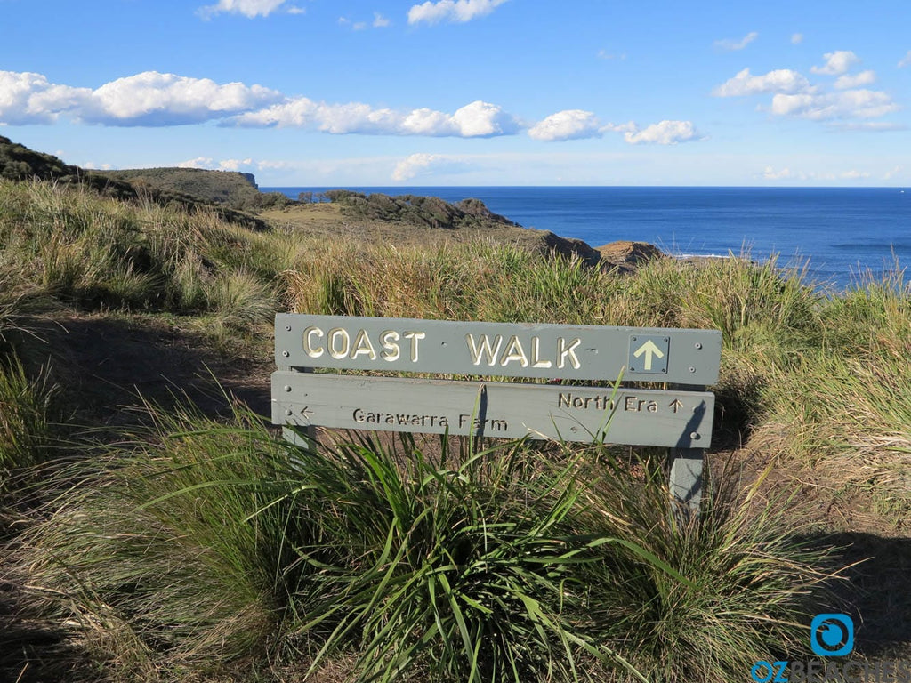 Coastal walk track at Burning Palms