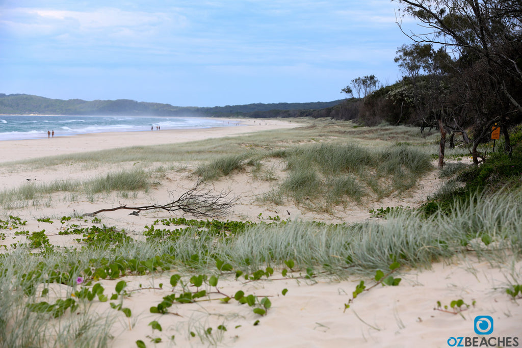 Tallow Beach Byron Bay NSW - perfect for long walks