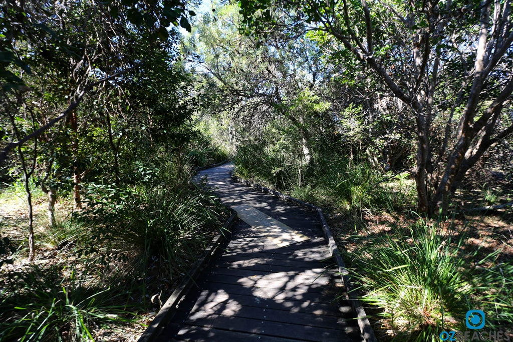 Bush trail access to Sapphire Beach