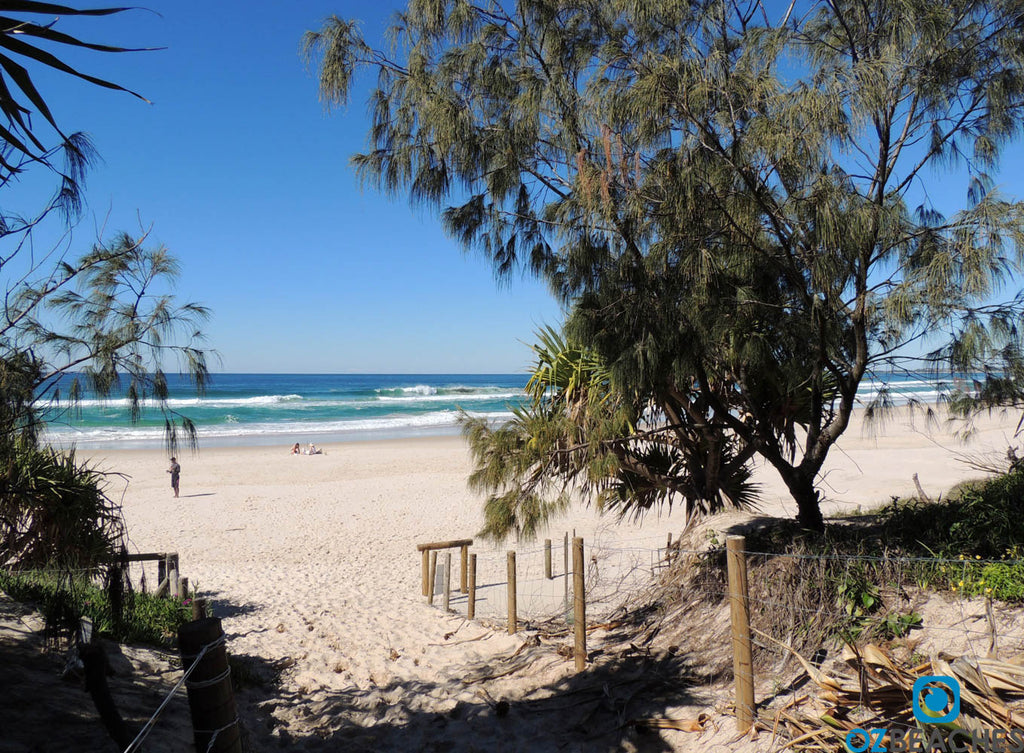 The walk through the rainforest to Dreamtime Beach is as enjoyable as the beach itself