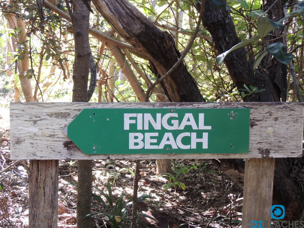 Fingal Beach sign located in the littoral rainforest on Fingal Head