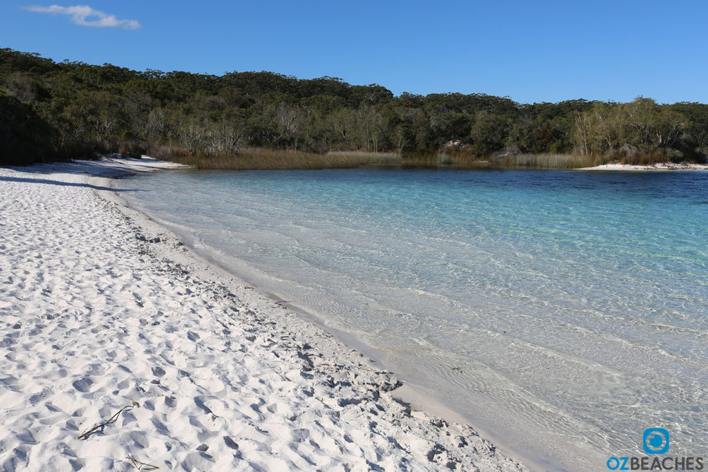 Blue Lake on Fraser Island