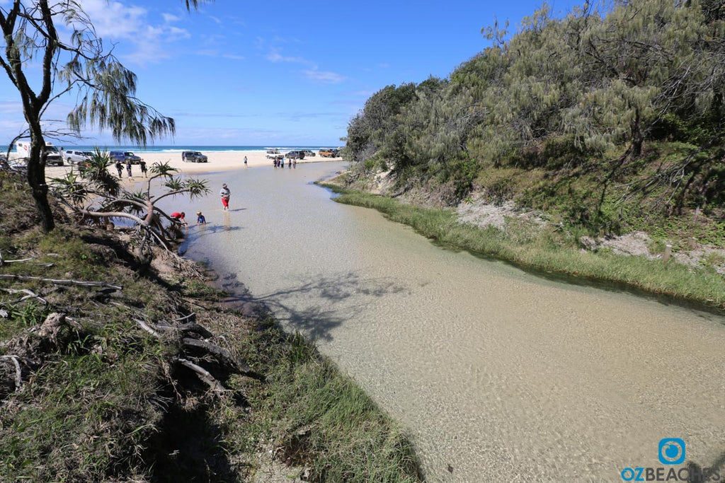 Eli Creek on Fraser Island is a popular spot for tour buses and day trippers to stop for lunch