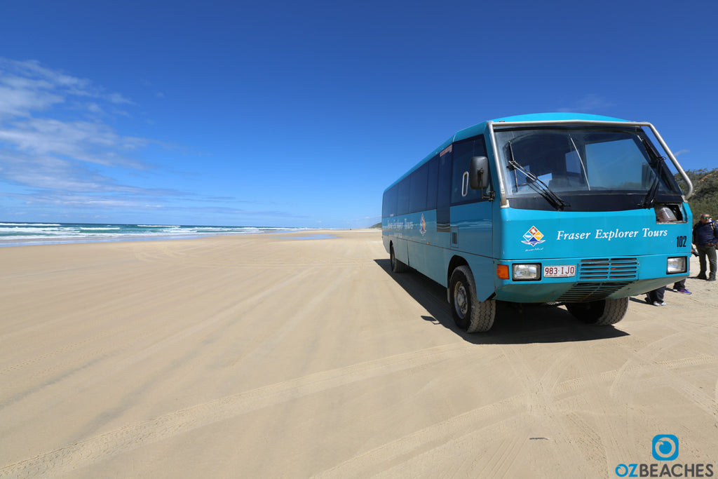 Tour buses are the way to get around Fraser Island if you don't have a 4wd