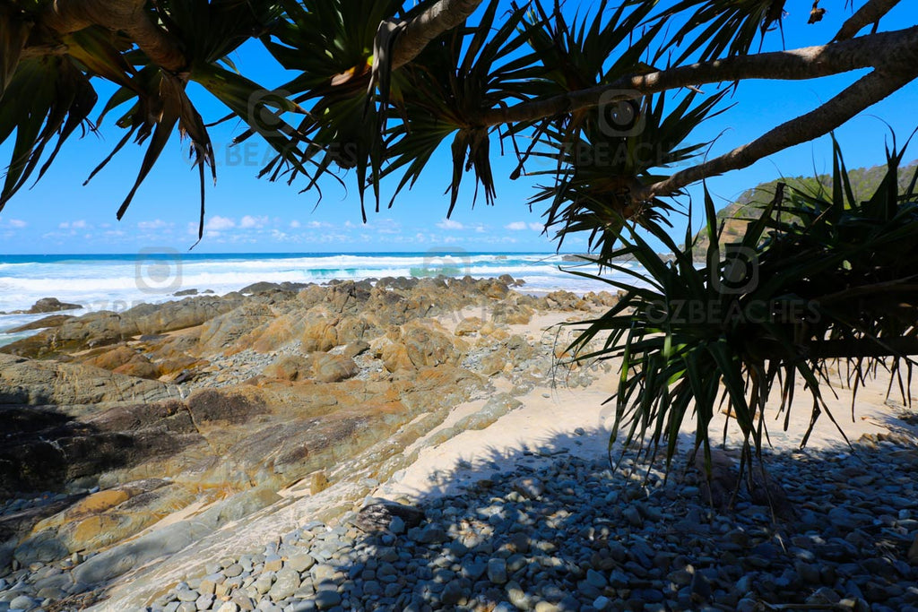 Plenty of shady spots under Pandanus Palms at Kings Beach Broken Head