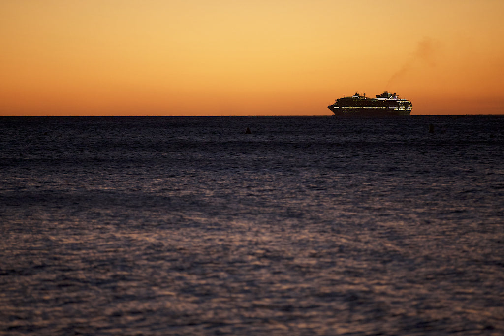 Cruise ship returning to Sydney Harbour as seen from Lurline Bay