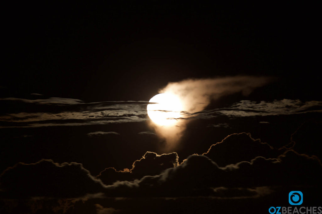 Hells Angels looking moonrise at Lurline Bay