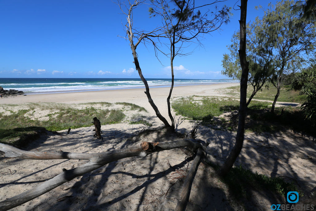 Plenty of shade at the northern corner of Maggie Beach