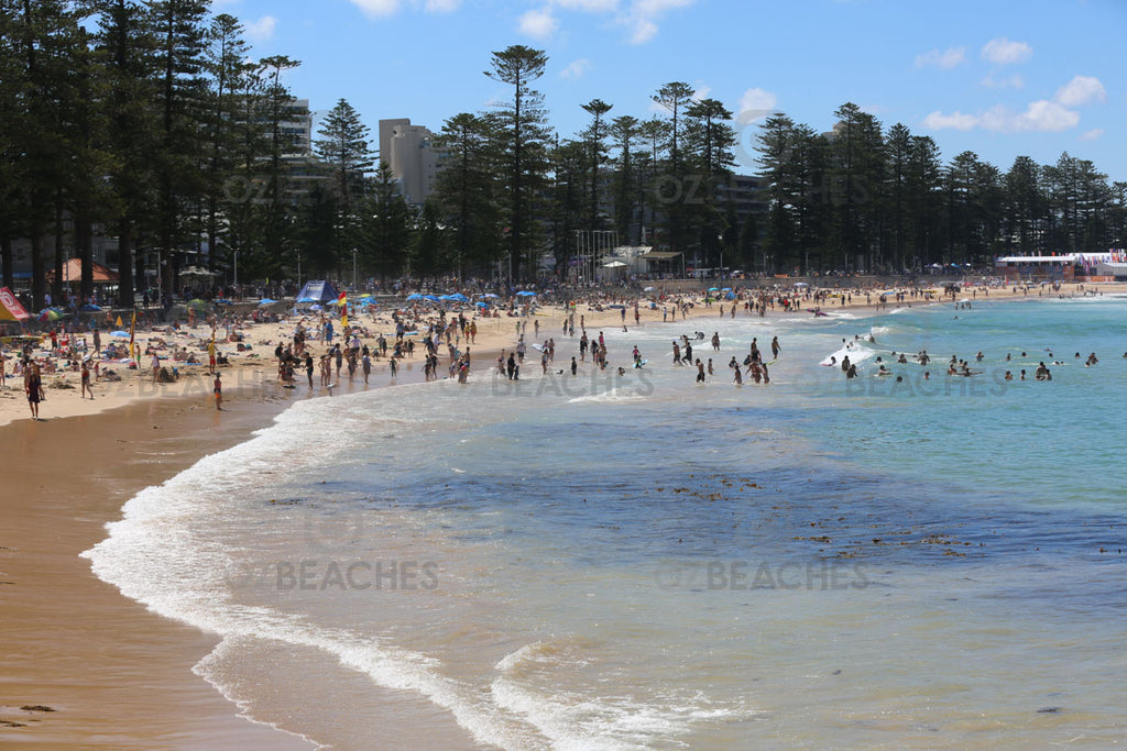 A typical day down at Manly Beach