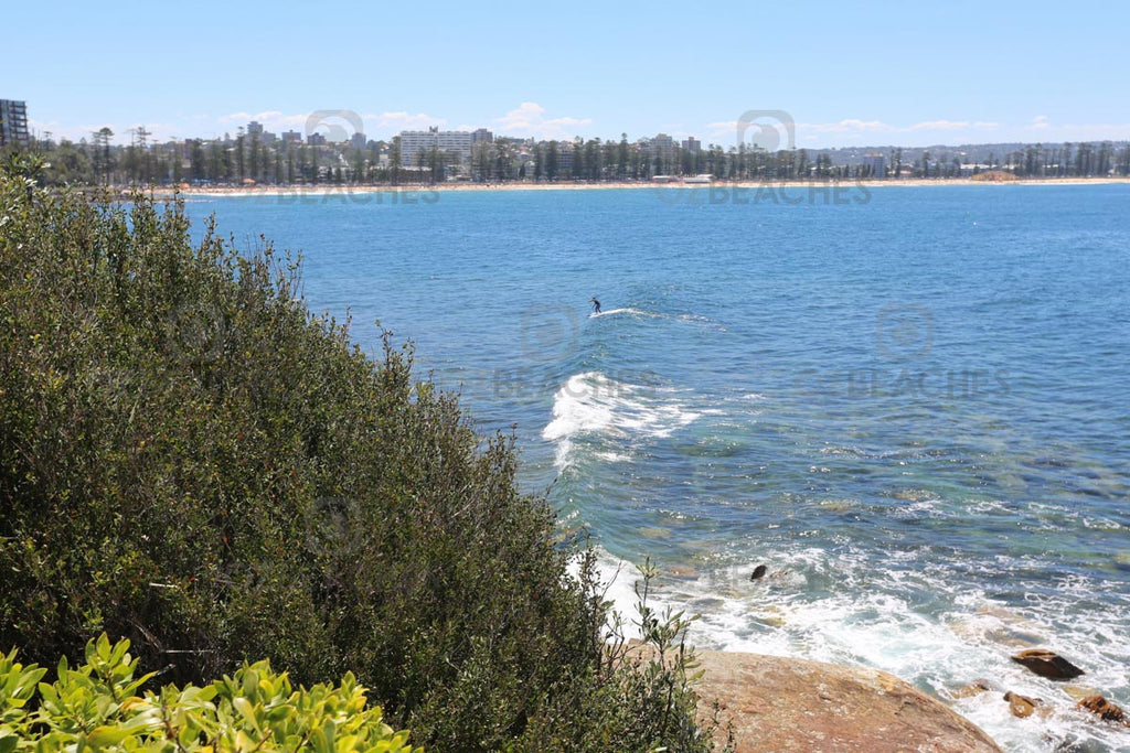 A paddleboarder riding the swell at Fairy Bower