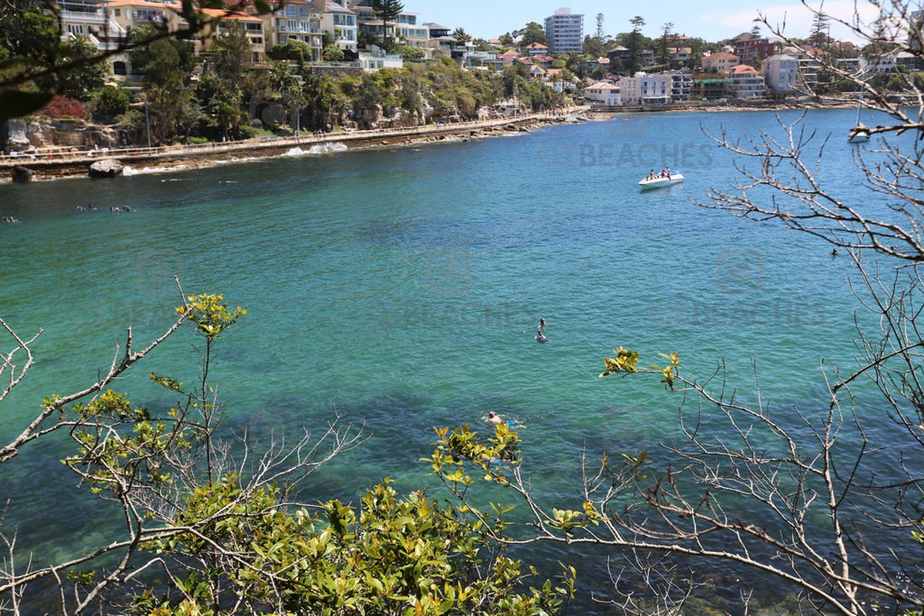 Aerial view of Cabbage Tree Bay