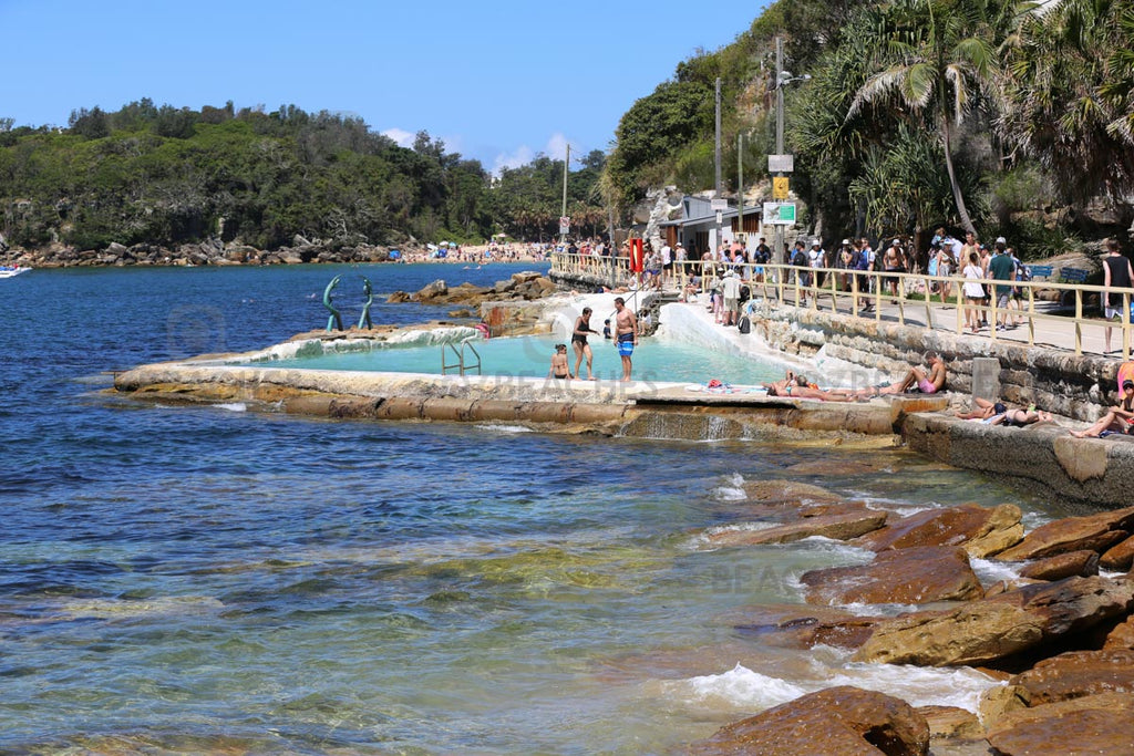 A tropical looking rockpool near Manly Beach