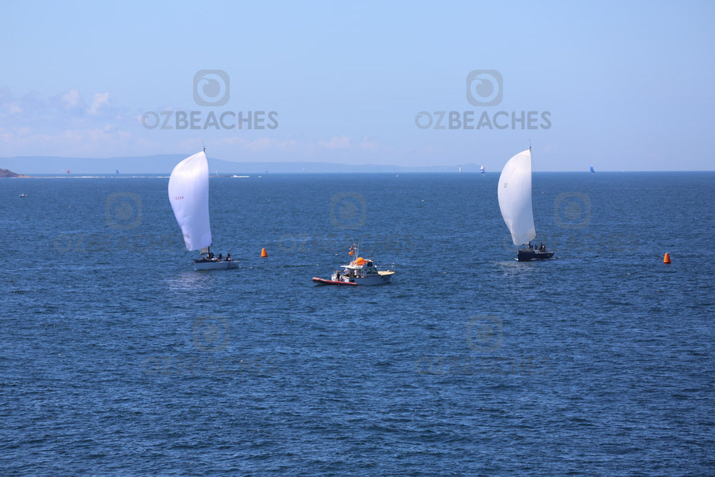 Yachts racing at Manly Beach