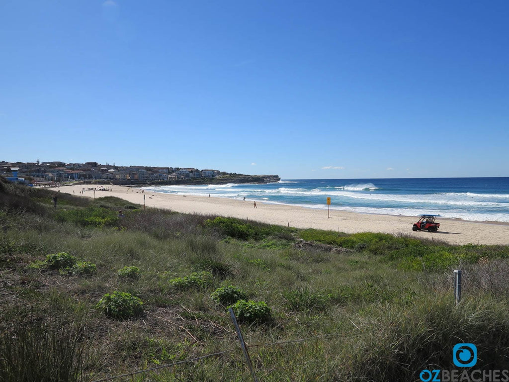 Looking north along Maroubra Beach