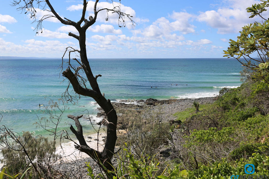 Surfers out at Picnic Cove, Noosa Heads National Park QLD