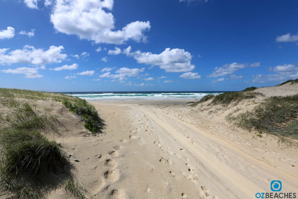 4wd track on North Stradbroke Island