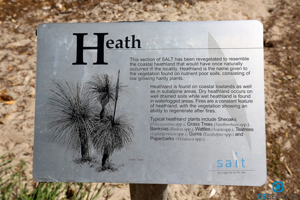 Boardwalks and dedicated community groups help the health lands regenerate at Salt Beach NSW
