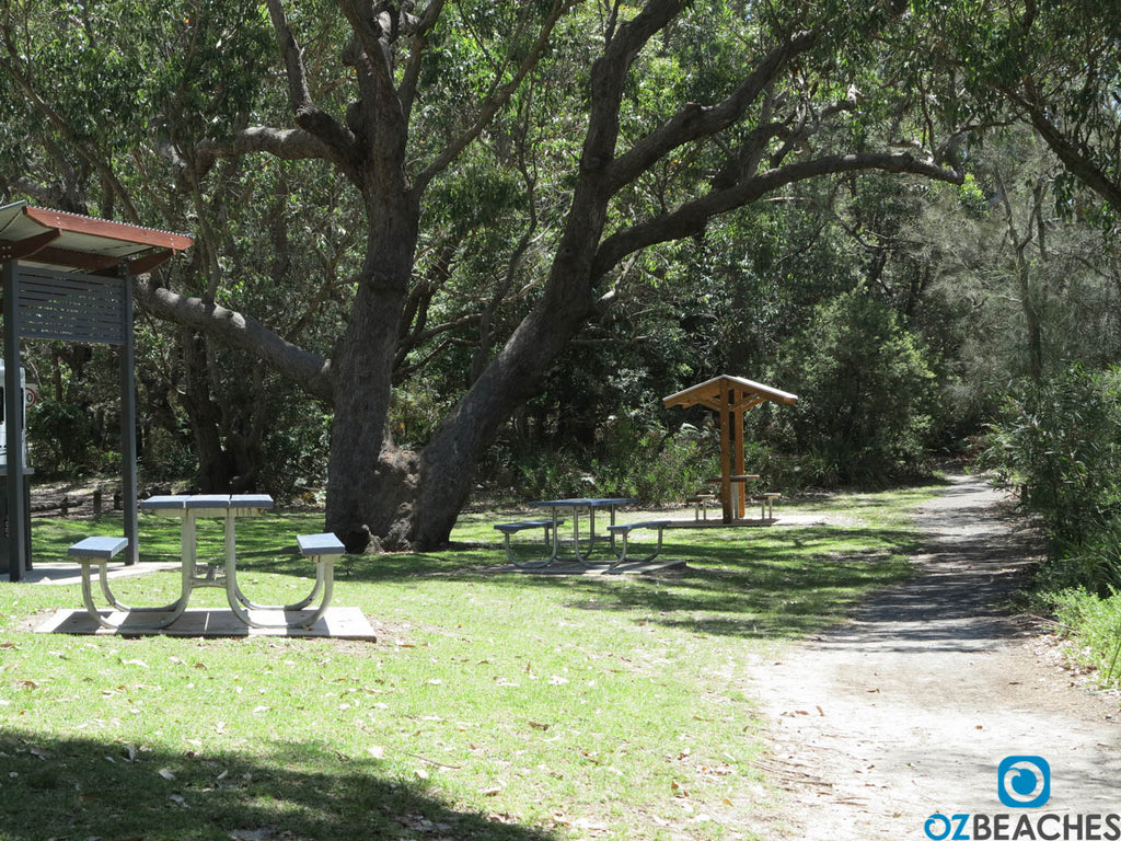 Nice picnic area at Tabourie Lake