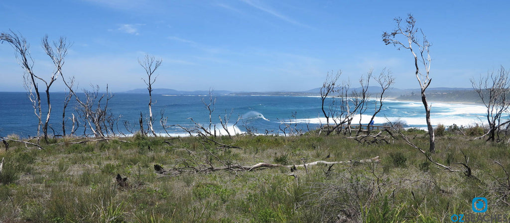 Perfect surf at The Bommie at Ulladulla NSW