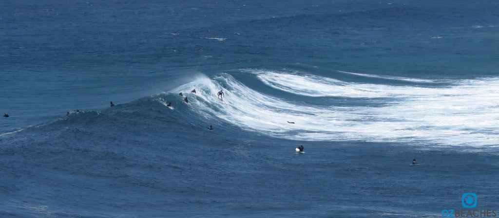 Surfer sropping into a wave at The Bommie at Ulladulla NSW