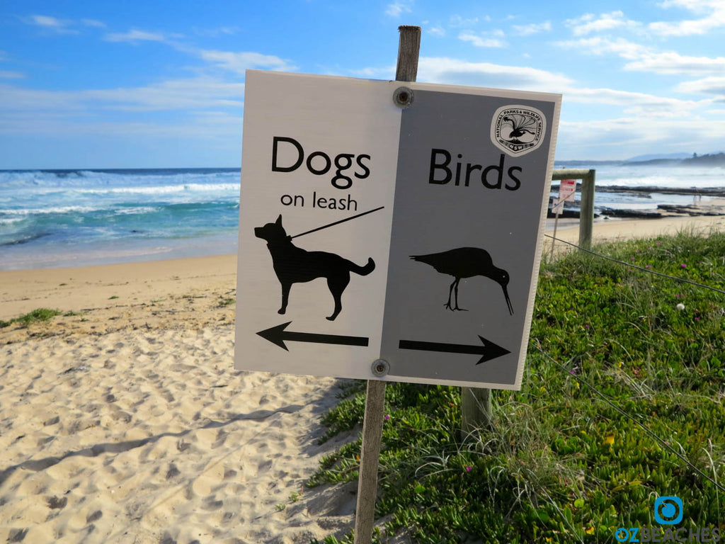 Dogs and birds sign at Warden Head at Ulladulla NSW