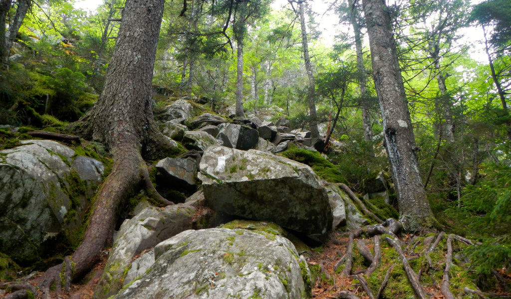 100 mile wilderness maine best appalachian trail section hikes