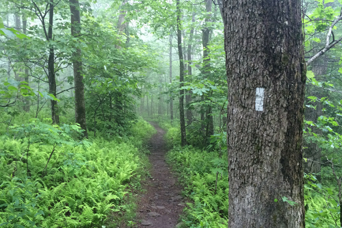 21 Awesome Reasons to Hike the Appalachian Trail