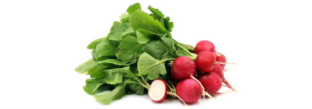 the radish is a backpacking vegetable