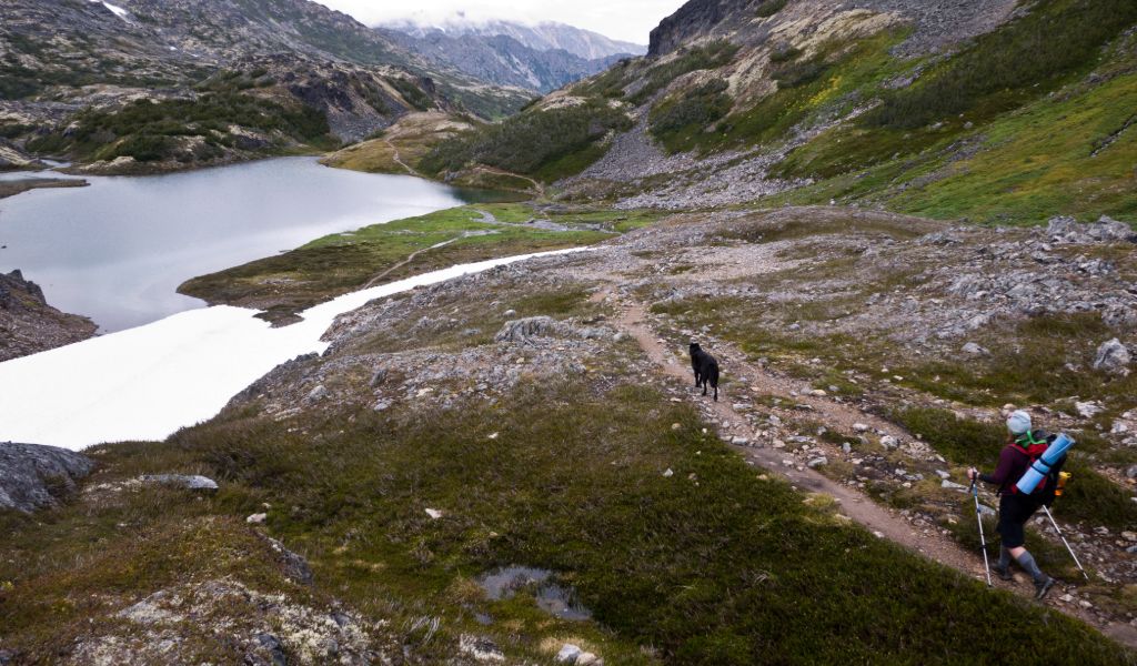 calories burned backpacking chilkoot trail