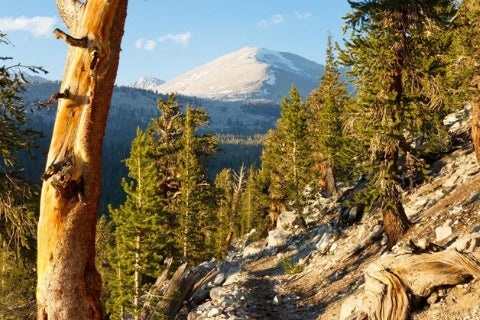 john muir trail interactive map and guide