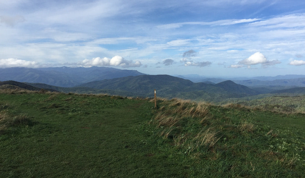 max patch north carolina best appalachian trail section hikes