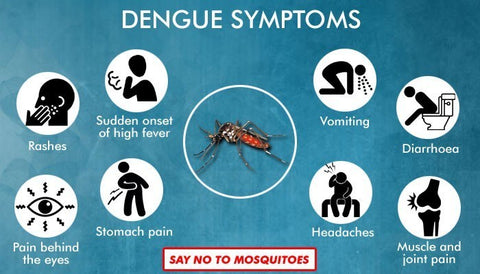 Symptoms of Dengue