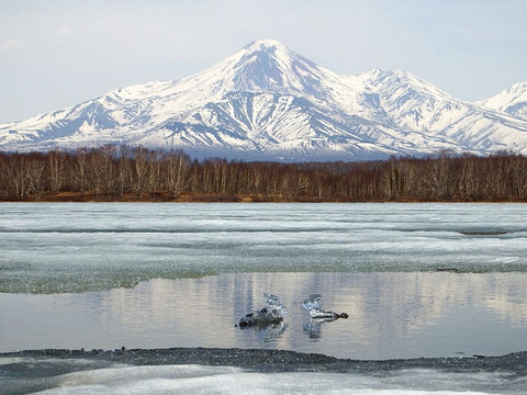 InstaFire presents ice off or ice out fishing