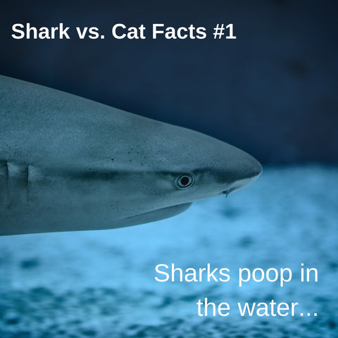 Sharks vs. Cats facts: how do these animals poop? Sharks poop in the water