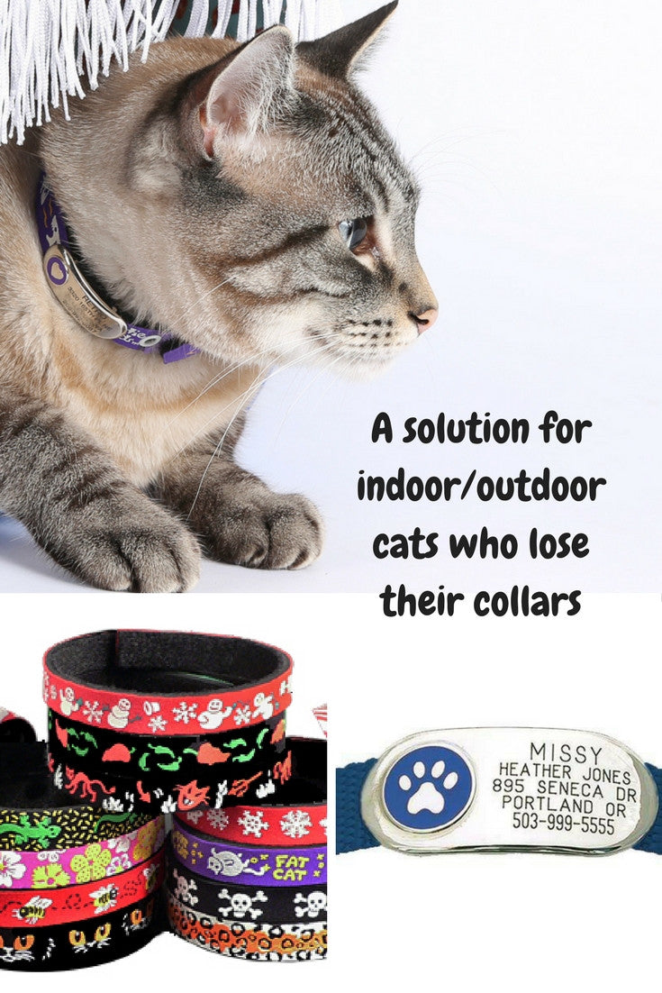 A solution for indoor or outdoor cats who lose their collars