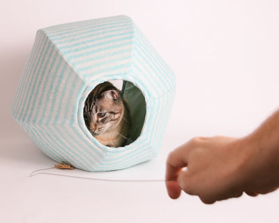 A cat hides inside the Cat Ball® cat bed as he watches a human engaging in play