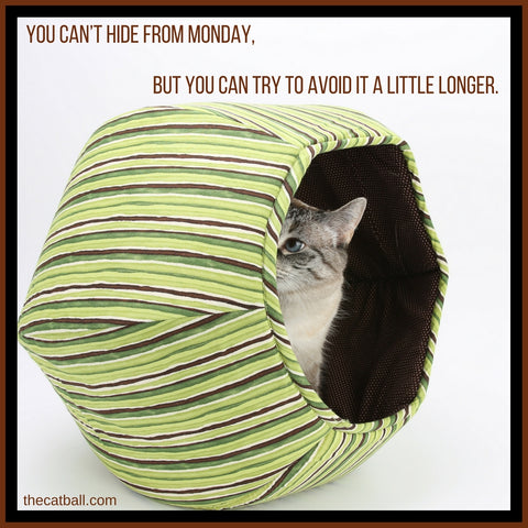 Cat meme by The Cat Ball - Hiding from Monday