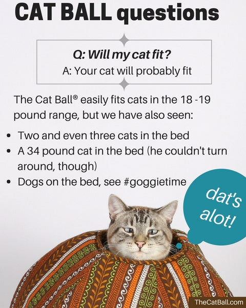 Most cats will fit into the Cat Ball cat bed because our innovative pet bed design is entirely flexible, and will bend to fit your cat's body. 