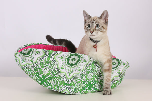 A young lynx point Siamese cat inside a Cat Canoe modern pet bed