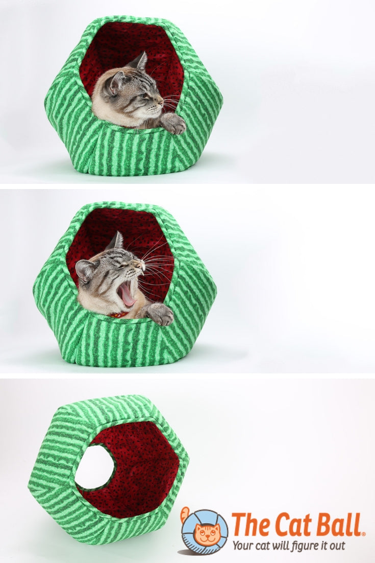 The Cat Ball® cat bed made in realistic watermelon fruit fabrics