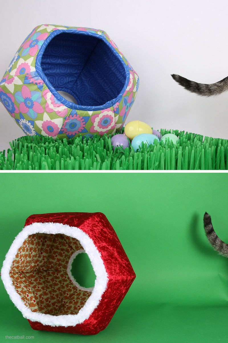 Cat photo shoot bloopers at the Cat Ball World Headquarters