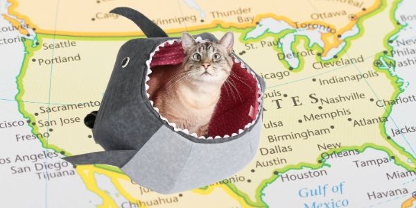 Retail locations for the Cat Canoe and Cat Ball cat bed