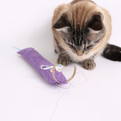 CAT CANOODLE catnip toy hack - the toilet paper tube