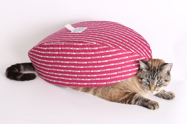 Retro, our half Siamese cat model, underneath a Cat Canoe® modern pet bed